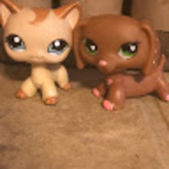 Meet your Posher, Christy - Picture 1 of 1